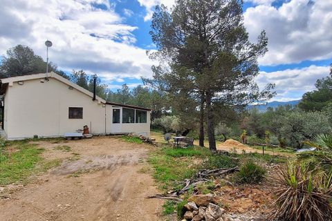 Landejendom i Ginestar, Tarragona, Ginestar - € 185.000 | Ref: CC824 - foto 3
